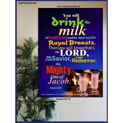 THE MIGHTY ONE OF JACOB   Large Framed Scripture Wall Art   (GWPOSTER1683)   