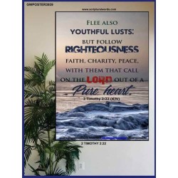 YOUTHFUL LUSTS   Bible Verses to Encourage  frame   (GWPOSTER3939)   