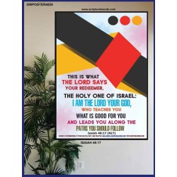 WHAT IS GOOD FOR YOU   Bible Verse Frame   (GWPOSTER4829)   