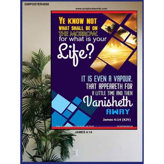 WHAT IS YOUR LIFE   Framed Bible Verses   (GWPOSTER4958)   