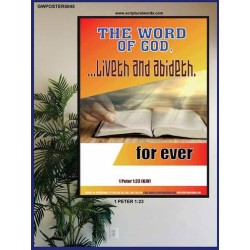 THE WORD OF GOD LIVETH AND ABIDETH   Framed Scripture Art   (GWPOSTER5045)   