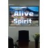 ALIVE BY THE SPIRIT   Framed Guest Room Wall Decoration   (GWPOSTER6736)   "38x26"