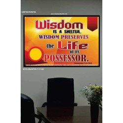 WISDOM   Framed Bible Verse   (GWPOSTER6782)   