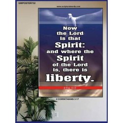 THE SPIRIT OF THE LORD GIVES LIBERTY   Scripture Wall Art   (GWPOSTER732)   
