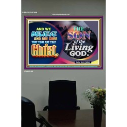 SON OF THE LIVING GOD   Acrylic Glass framed scripture art   (GWPOSTER7896)   