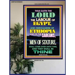 THEY SHALL BE THINE   Framed Restroom Wall Decoration   (GWPOSTER8829)   