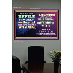 SEXUAL IMMORALITY   Portrait of Faith Wooden Framed   (GWPOSTER8937)   