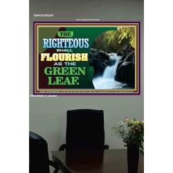 RIGHTEOUS SHALL FLOURISH   Bible Verse Framed Art   (GWPOSTER9267)   