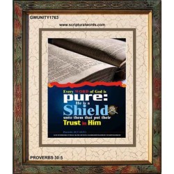 TRUST IN HIM   Scripture Art Frame   (GWUNITY1763)   "20x25"