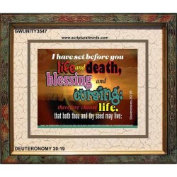 SET BEFORE YOU LIFE AND DEATH   Bible Verse Framed Art   (GWUNITY3547)   