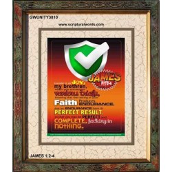 VARIOUS TRIALS   Bible Verse Frame Online   (GWUNITY3810)   "20x25"