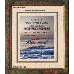 YOUTHFUL LUSTS   Bible Verses to Encourage  frame   (GWUNITY3939)   