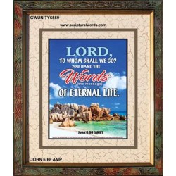 WORDS OF ETERNAL LIFE   Biblical Art Acrylic Glass Frame    (GWUNITY6559)   
