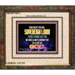 SOVEREIGN LORD   Framed Bible Verses   (GWUNITY6612)   
