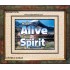 ALIVE BY THE SPIRIT   Framed Guest Room Wall Decoration   (GWUNITY6736)   "25x20"