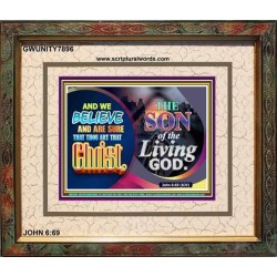 SON OF THE LIVING GOD   Acrylic Glass framed scripture art   (GWUNITY7896)   