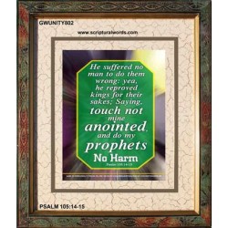 TOUCH NOT MINE ANOINTED   Bible Verse Wall Art Frame   (GWUNITY802)   "20x25"