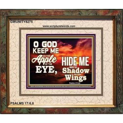 UNDER THE SHADOW OF THY WINGS   Frame Scriptural Wall Art   (GWUNITY8275)   