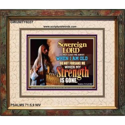 SOVEREIGN LORD   Framed Bible Verses Online   (GWUNITY8337)   