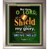 A SHIELD FOR ME   Bible Verses For the Kids Frame    (GWVICTOR1752)   "14x16"