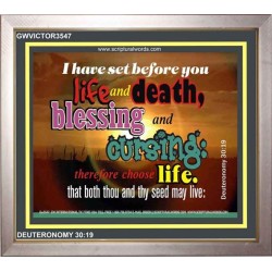 SET BEFORE YOU LIFE AND DEATH   Bible Verse Framed Art   (GWVICTOR3547)   