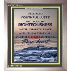 YOUTHFUL LUSTS   Bible Verses to Encourage  frame   (GWVICTOR3939)   "14x16"