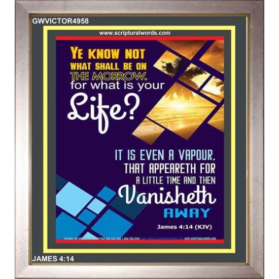 WHAT IS YOUR LIFE   Framed Bible Verses   (GWVICTOR4958)   