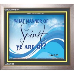 SPIRIT   Acrylic Frame Picture   (GWVICTOR5466)   