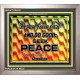 SEEK PEACE   Modern Wall Art   (GWVICTOR6531)   