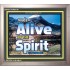 ALIVE BY THE SPIRIT   Framed Guest Room Wall Decoration   (GWVICTOR6736)   "16x14"