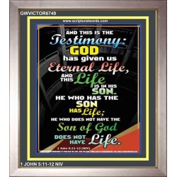 THE TESTIMONY GOD HAS GIVEN US   Christian Framed Wall Art   (GWVICTOR6749)   
