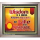 WISDOM   Framed Bible Verse   (GWVICTOR6782)   