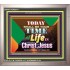 TIME OF LIFE IN CHRIST JESUS   Christian Frame Art   (GWVICTOR8214)   "16x14"