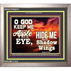 UNDER THE SHADOW OF THY WINGS   Frame Scriptural Wall Art   (GWVICTOR8275)   "16x14"