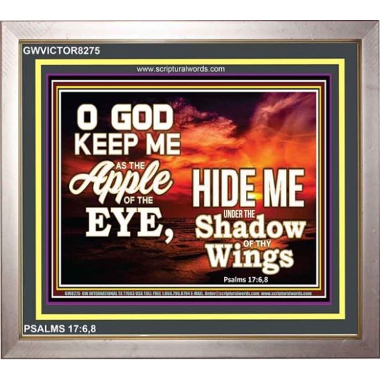 UNDER THE SHADOW OF THY WINGS   Frame Scriptural Wall Art   (GWVICTOR8275)   