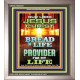 THE PROVIDER   Bible Verses Poster   (GWVICTOR8761)   