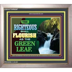 RIGHTEOUS SHALL FLOURISH   Bible Verse Framed Art   (GWVICTOR9267)   