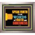 SPEAK FORTH THE WORD OF TRUTH   Christian Frame Art   (GWVICTOR9309)   "16x14"
