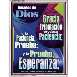 Tribulación produce Paciencia   Marco de versículo bíblico para el hogar en línea   (GWSPAABIDE10809)   "16X24"