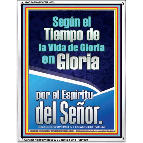 Segn el Tiempo de la Vida   Versculos de la Biblia enmarcados para el hogar   (GWSPAAMAZEMENT10255)   