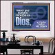 El Señor sabe todas las cosas   Marco de vidrio acrílico de arte bíblico   (GWSPAAMBASSADOR10959)   