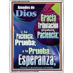 Tribulación produce Paciencia   Marco de versículo bíblico para el hogar en línea   (GWSPAAMBASSADOR10809)   "32x48"