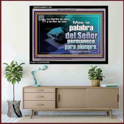 la palabra del señor permanece para siempre   Versículos bíblicos alentadores enmarcados   (GWSPAAMEN11155)   "33X25"