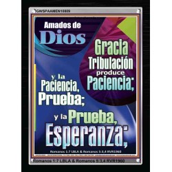 Tribulación produce Paciencia   Marco de versículo bíblico para el hogar en línea   (GWSPAAMEN10809)   "25x33"