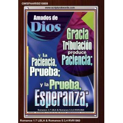 Tribulación produce Paciencia   Marco de versículo bíblico para el hogar en línea   (GWSPAARISE10809)   "25x33"