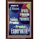 Tribulación produce Paciencia   Marco de versículo bíblico para el hogar en línea   (GWSPAARISE10809)   