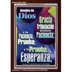 Tribulación produce Paciencia   Marco de versículo bíblico para el hogar en línea   (GWSPAARK10809)   "25x33"