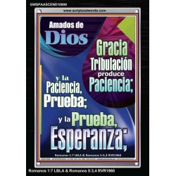 Tribulación produce Paciencia   Marco de versículo bíblico para el hogar en línea   (GWSPAASCEND10809)   "25x33"