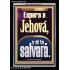Espera a Jehová, y él te salvará   Marco Decoración bíblica   (GWSPAASCEND11047)   "25x33"