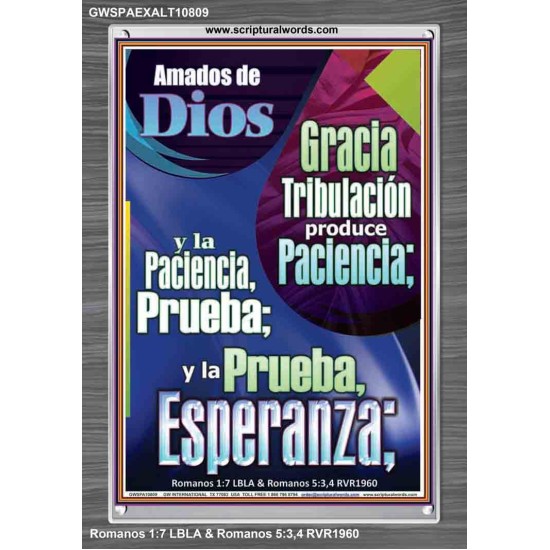 Tribulación produce Paciencia   Marco de versículo bíblico para el hogar en línea   (GWSPAEXALT10809)   